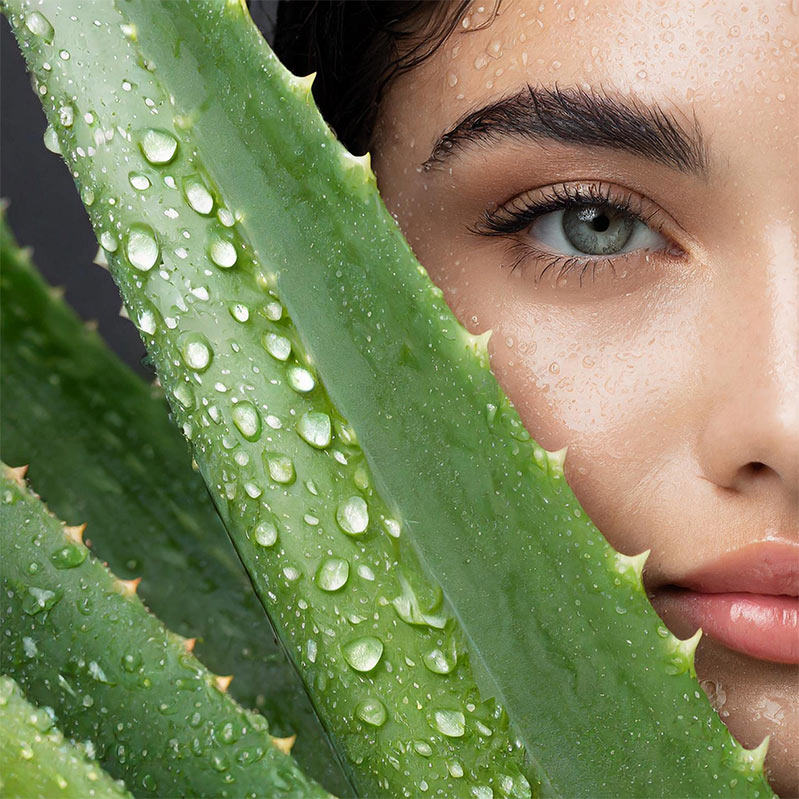 Aloe Vera mit Frauengesicht